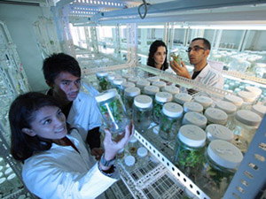 ddos攻击测试工具